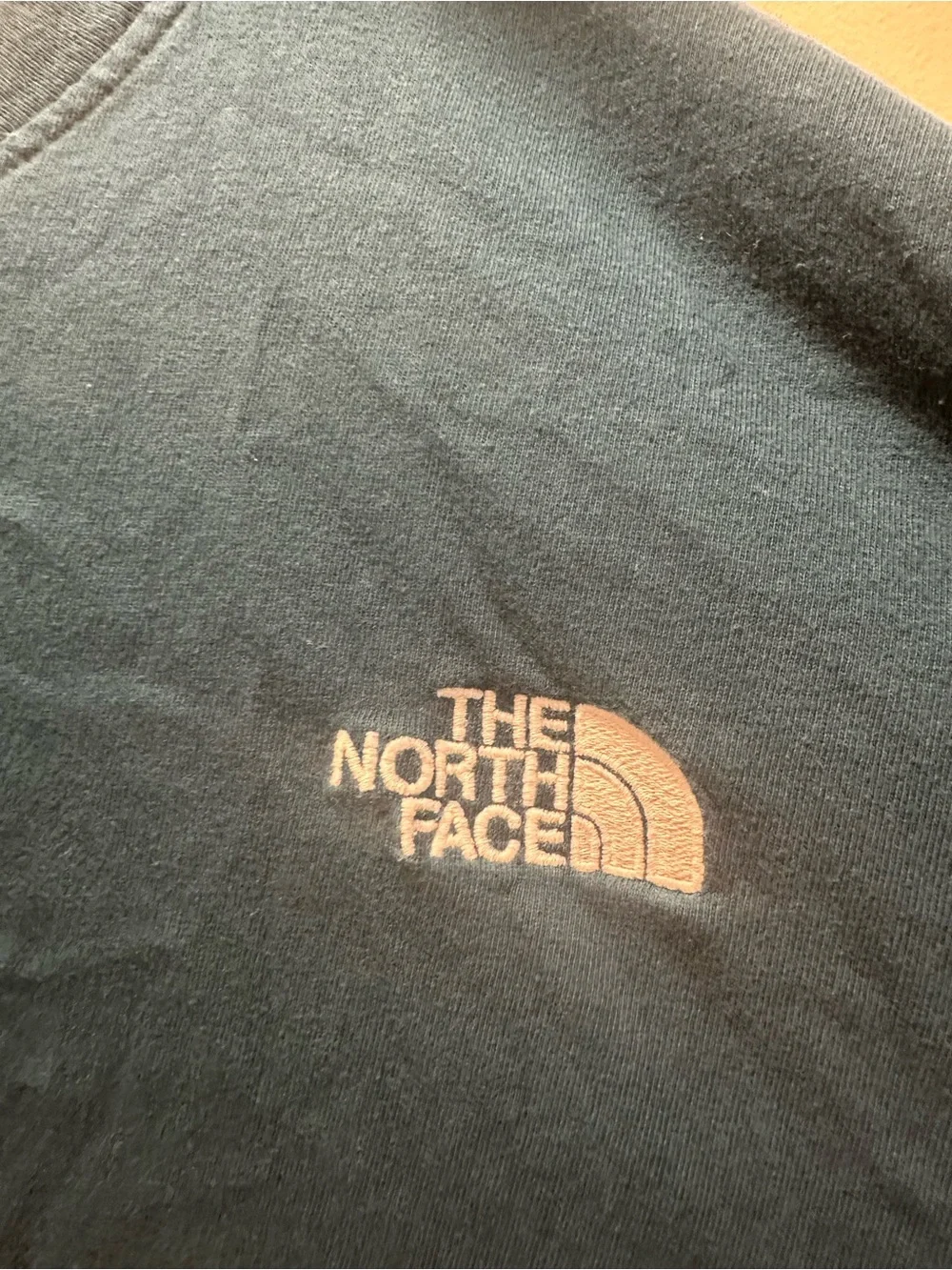 The North Face Men's Short Sleeve Tee in Teal